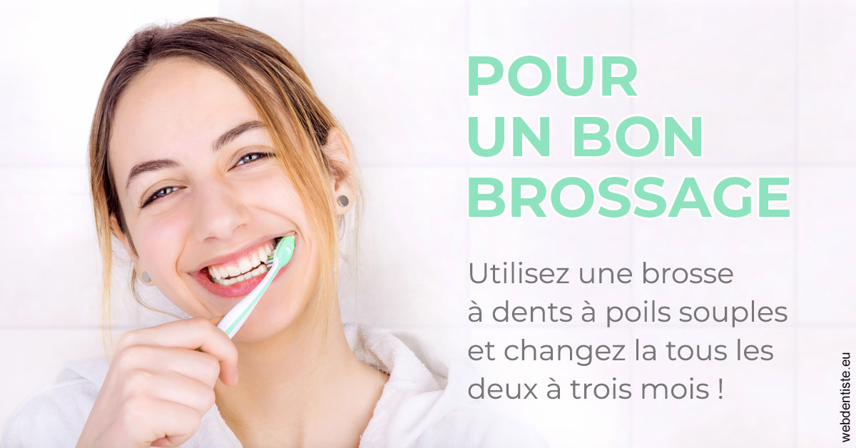https://dr-luc-sebaoun-stephane.chirurgiens-dentistes.fr/Pour un bon brossage 2
