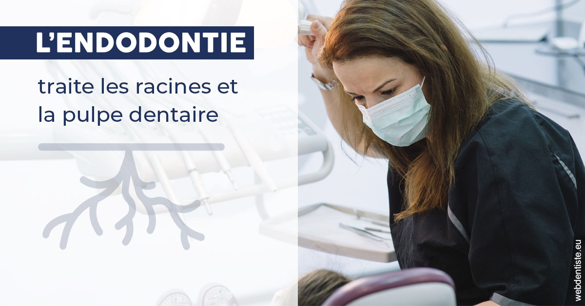 https://dr-luc-sebaoun-stephane.chirurgiens-dentistes.fr/L'endodontie 1