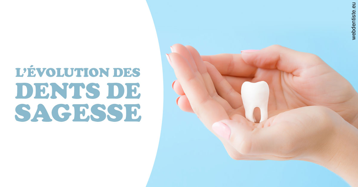 https://dr-luc-sebaoun-stephane.chirurgiens-dentistes.fr/Evolution dents de sagesse 1