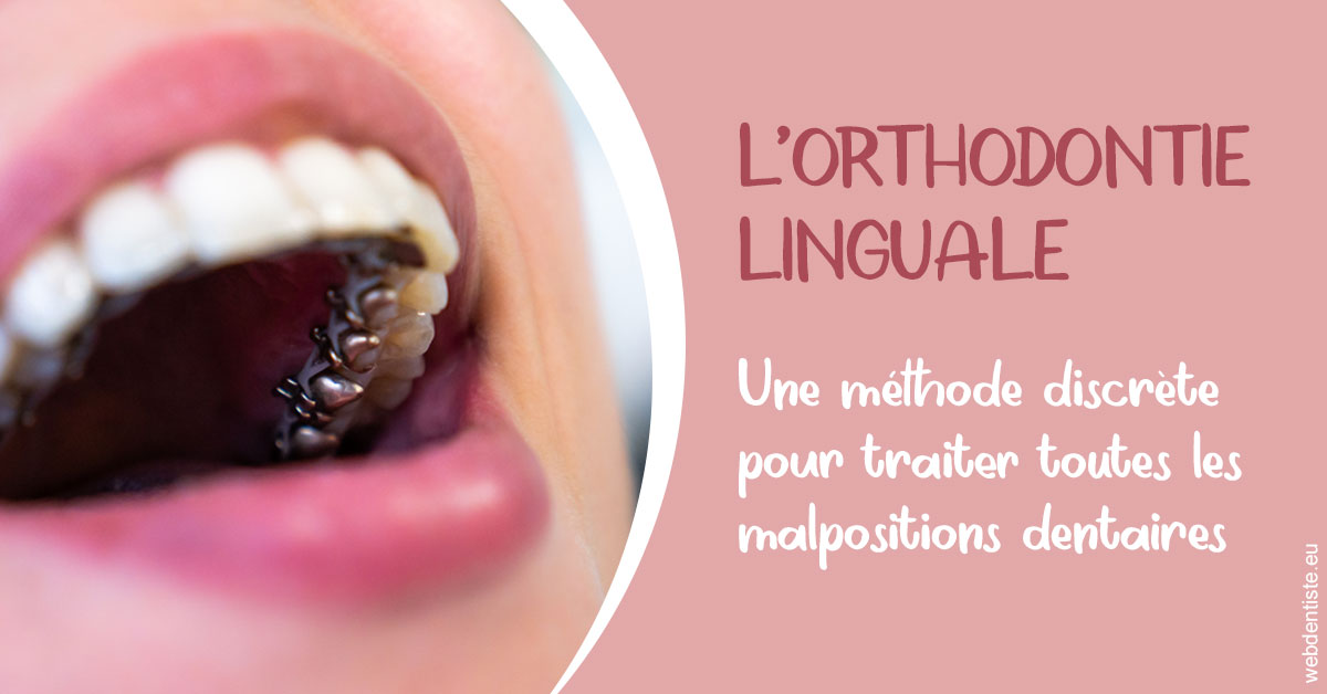 https://dr-luc-sebaoun-stephane.chirurgiens-dentistes.fr/L'orthodontie linguale 2