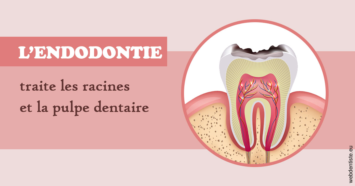https://dr-luc-sebaoun-stephane.chirurgiens-dentistes.fr/L'endodontie 2