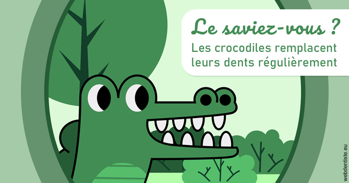 https://dr-luc-sebaoun-stephane.chirurgiens-dentistes.fr/Crocodiles 2
