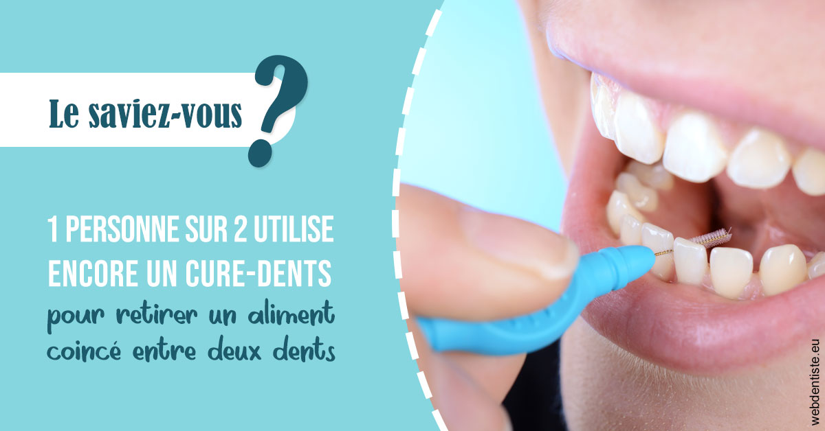 https://dr-luc-sebaoun-stephane.chirurgiens-dentistes.fr/Cure-dents 1
